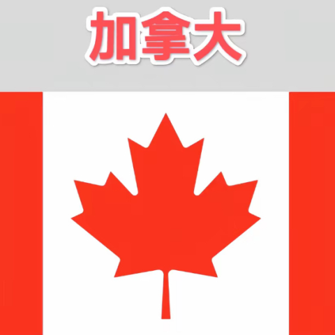 走势开奖网