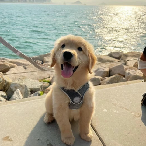 旺财预测网